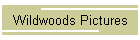 Wildwoods Pictures